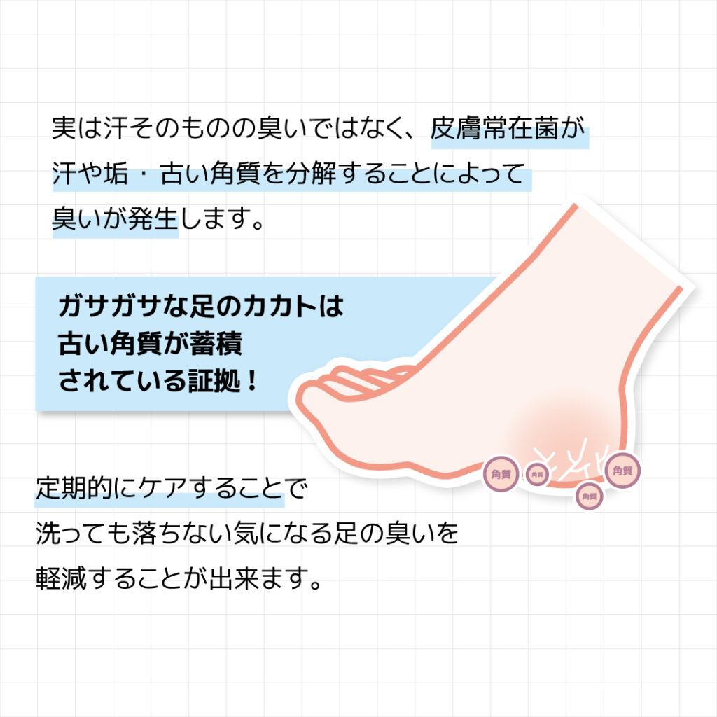 実は汗そのものの臭いではなく、皮膚常在菌が
汗や垢・古い角質を分解することによって
臭いが発生します。定期的にケアすることで
洗っても落ちない気になる足の臭いを
軽減することが出来ます。ガサガサな足のカカトは
古い角質が蓄積
されている証拠!
