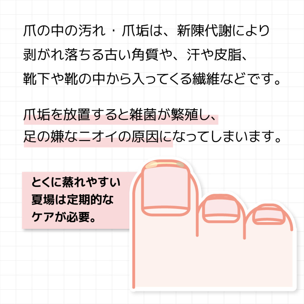 爪垢を放置すると雑菌が繁殖し、
足の嫌なニオイの原因になってしまいます。
とくに蒸れやすい
夏場は定期的な
ケアが必要。爪の中の汚れ・爪垢は、新陳代謝により
剥がれ落ちる古い角質や、汗や皮脂、
靴下や靴の中から入ってくる繊維などです。
