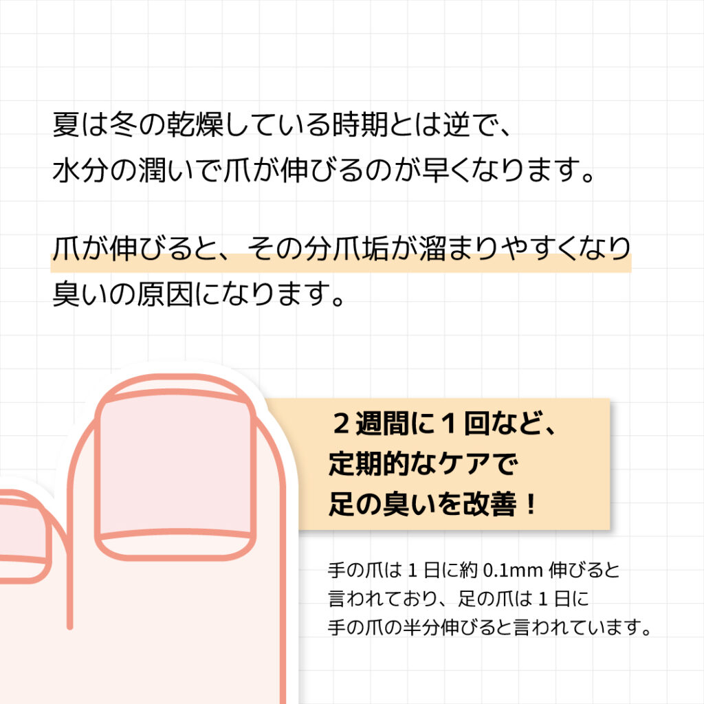 ステンレス製 しなるツメヤスリ削って整えるツメヤスリがオススメ巻き爪・巻き爪予備軍になってしまうと
爪の先端が皮膚に喰いこんで隙間に
爪垢が溜まりやすくなってしまうため
爪は適切な長さ整えることが大切です。細かく整えられるため深爪・巻き爪に
なるのを防ぐことが出来ます。爪の長さを整えよう！